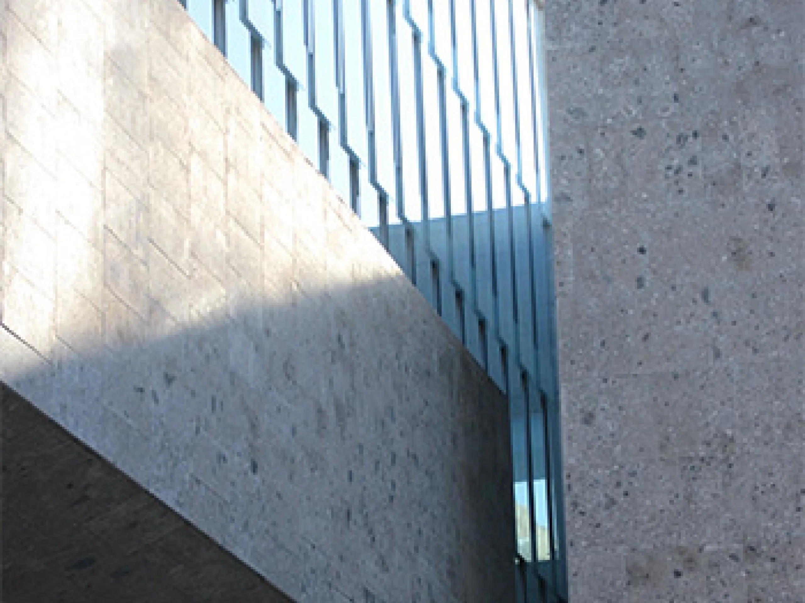 universita-bocconi-3
